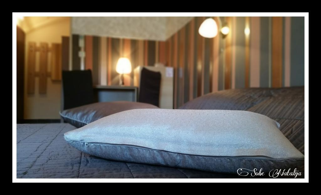 Smjestaj Natalija Hotell Osijek Rum bild